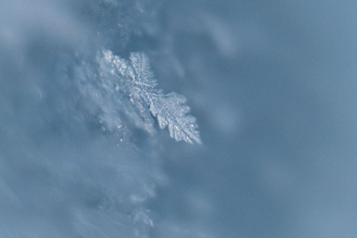 Nahaufnahme einer Schneeflocke